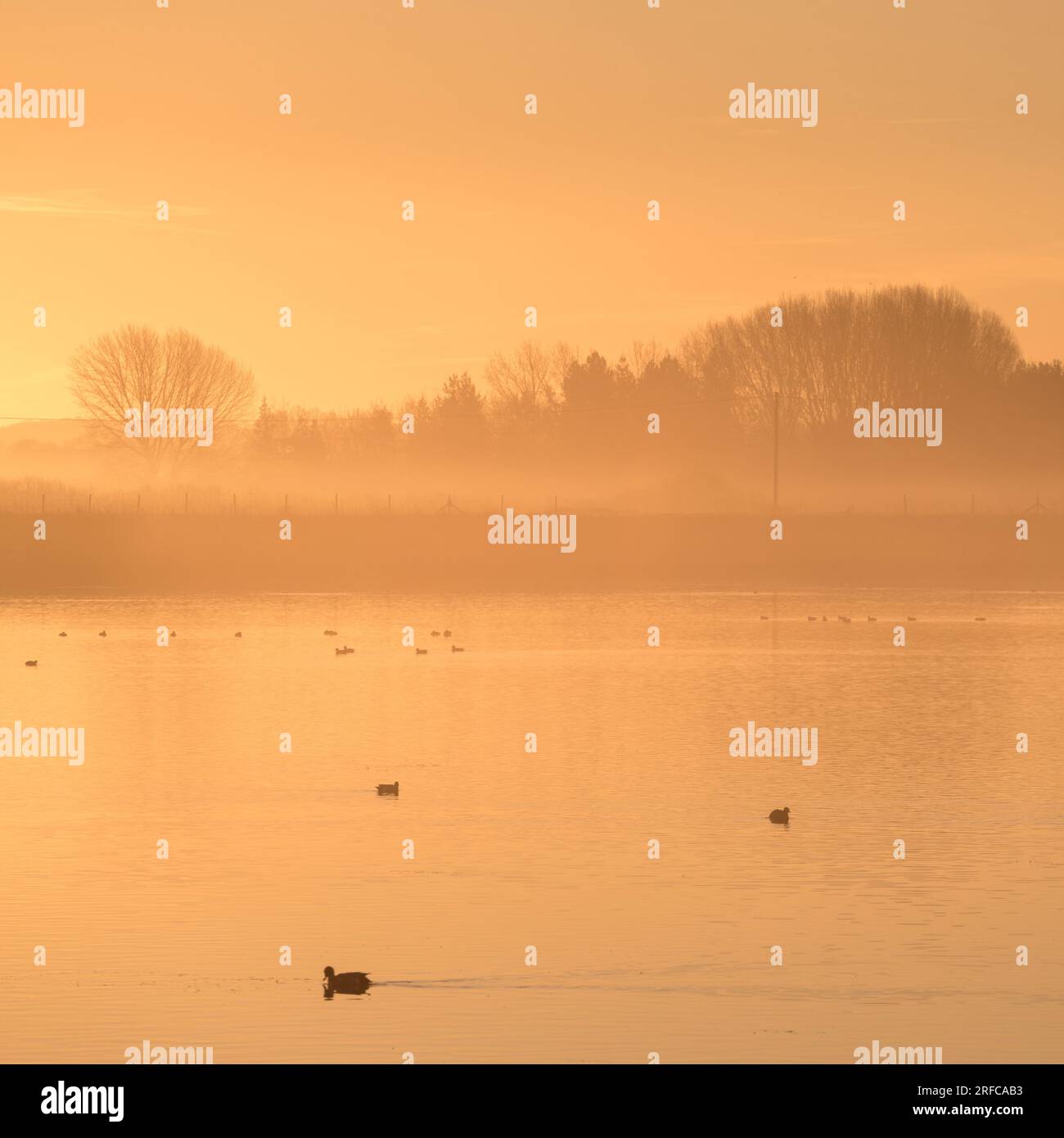 Misty sunrise at Dernford Reservoir Sawston, Cambridgeshire, UK Stock Photo