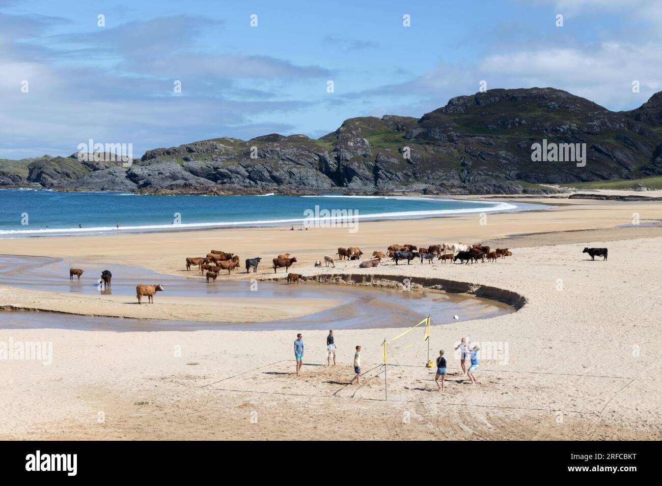 Family playing Volleyball in amongst cows on Kiloran Bay Colonsay, Scottish Highlands Stock Photo