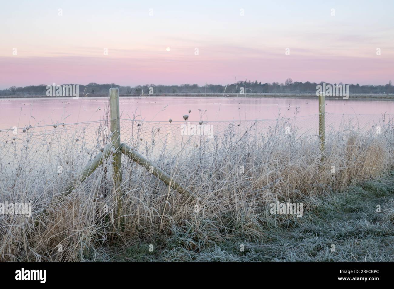 Frosty winter morning at Dernford Reservoir, Sawston, Cambridgeshire Stock Photo