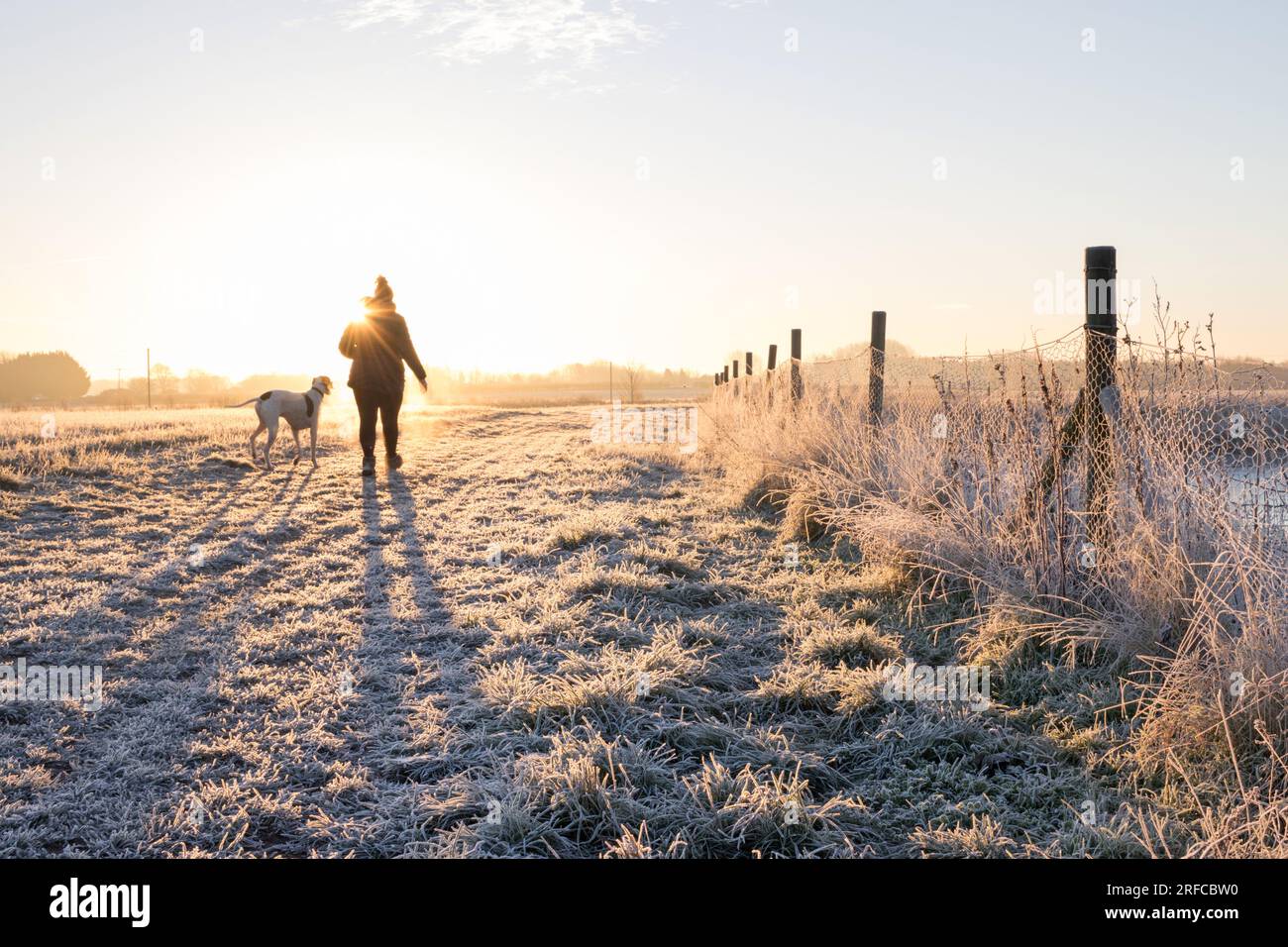 Dog Walker on a frosty winter morning at Dernford Reservoir, Sawston, Cambridgeshire Stock Photo