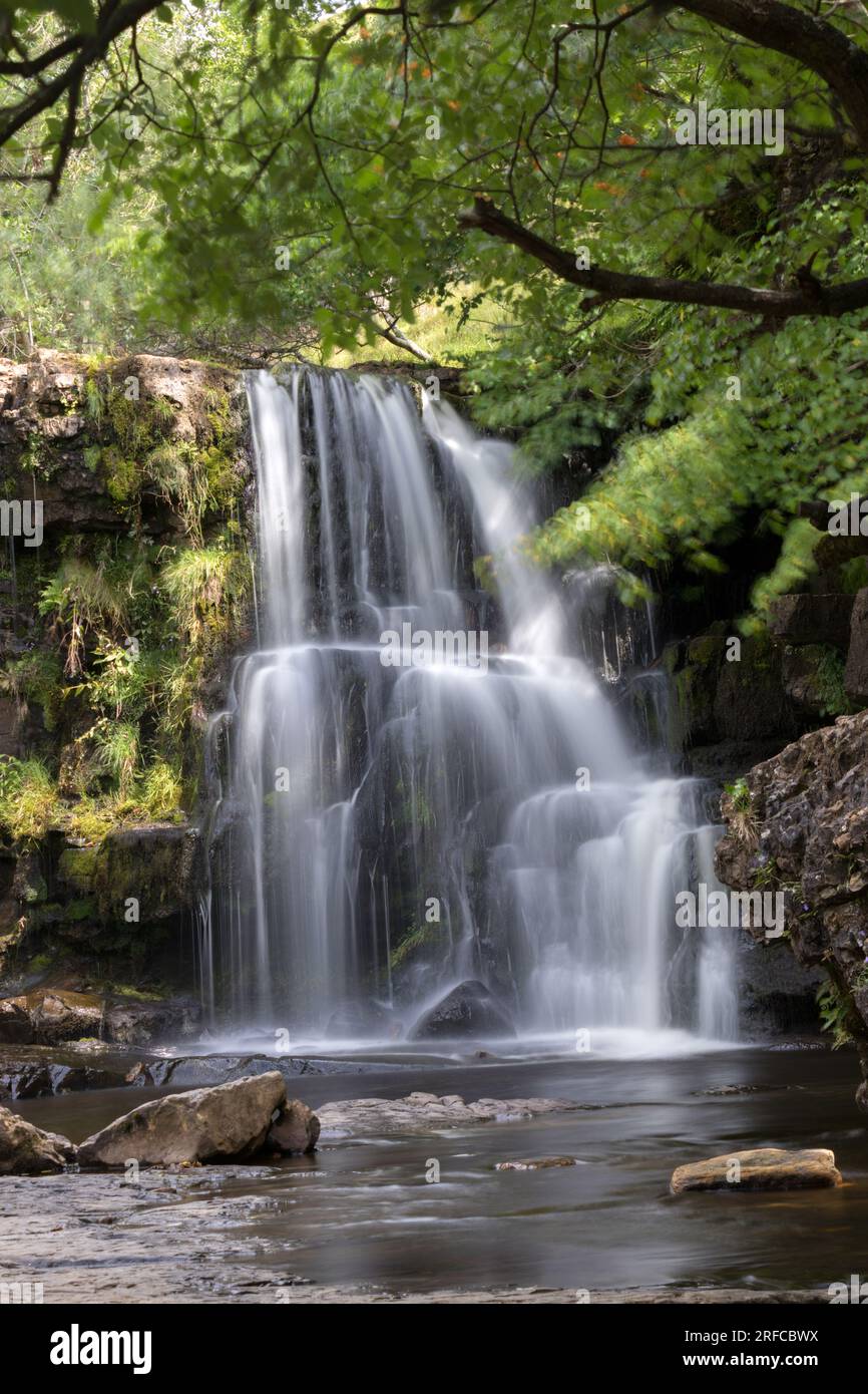 East Gill Force, a small waterfall close to the hamlet of Keld, Swaledale, Yorkshire Dales. Stock Photo