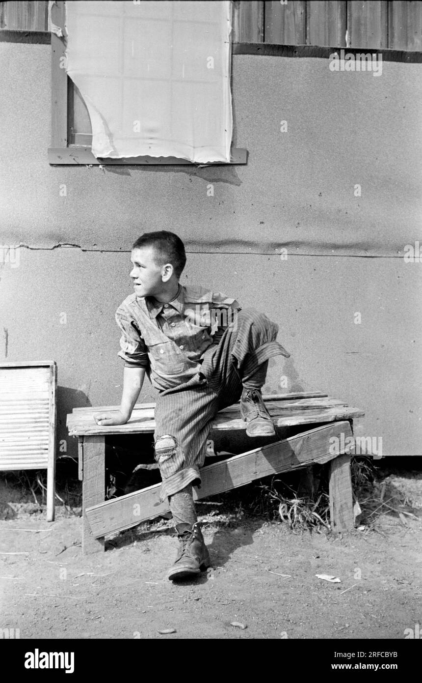 Boy cranberry picker, Burlington County, New Jersey, USA, Arthur Rothstein, U.S. Farm Security Administration, October 1938 Stock Photo