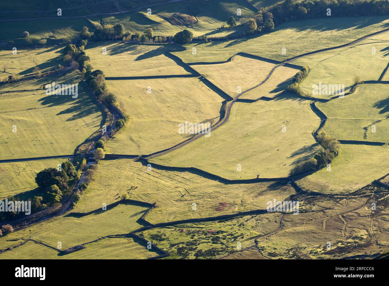 Field patterns divided by a series of walls, Great Langdale, Lake District, UK Stock Photo