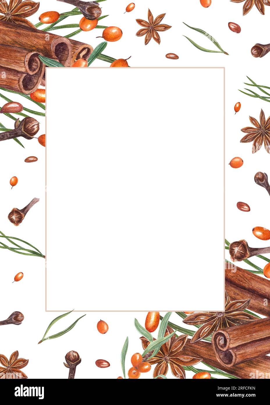 Watercolor cinnamons, star anise, sea buckthorn, pine needles, cloves. frame isolated on white. Orange berries, brown spices. Illustration Stock Photo