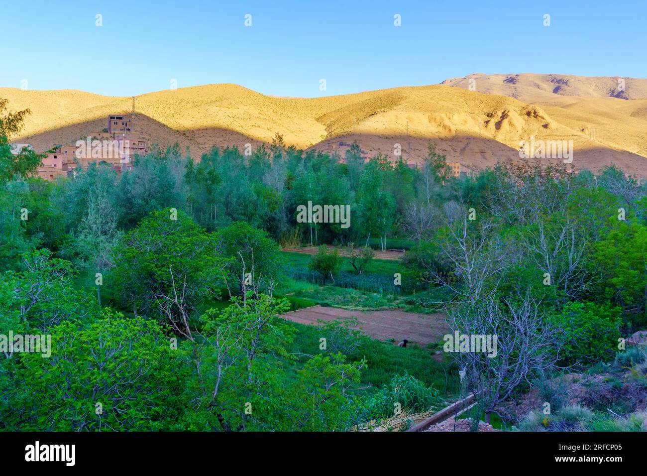 View of the Dades Gorge landscape, in the High Atlas Mountains, Central Morocco Stock Photo