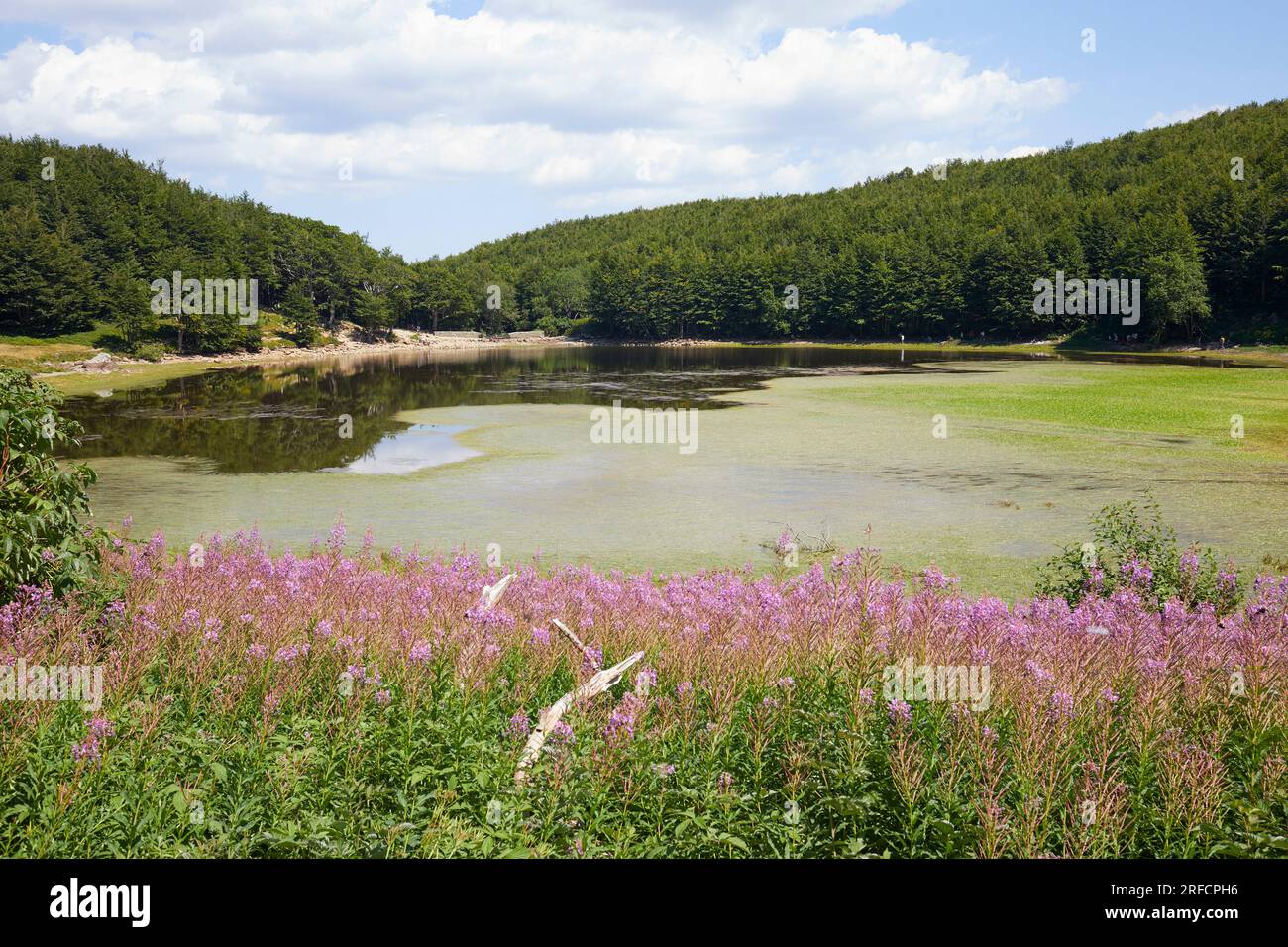 Lake Baccio in the Tuscan Emilian Apennines, Italy Stock Photo