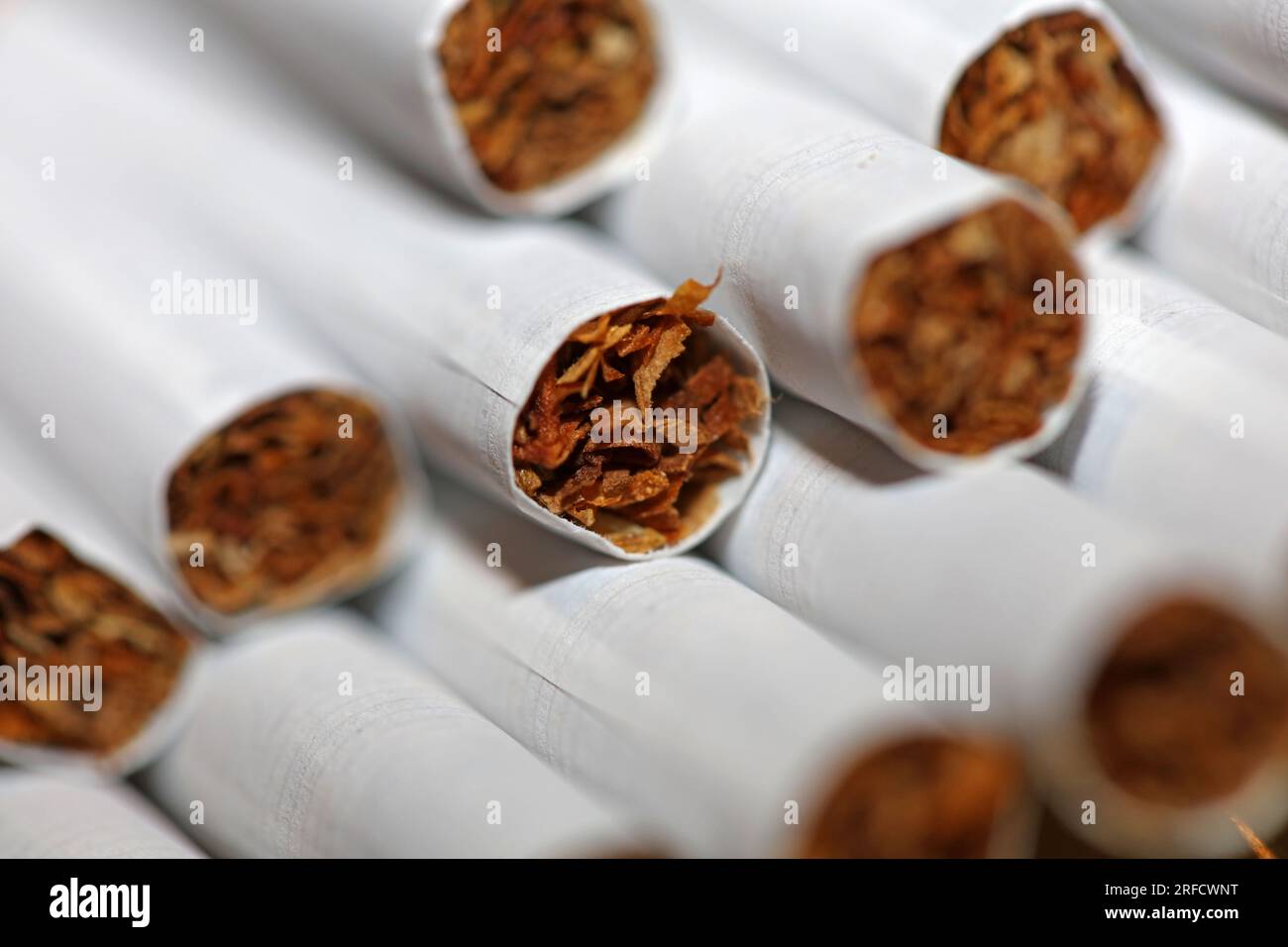 Many cigarettes in colorful background close up of a roll tobacco in paper with filter tube no smoking concept image of several commercially made ciga Stock Photo