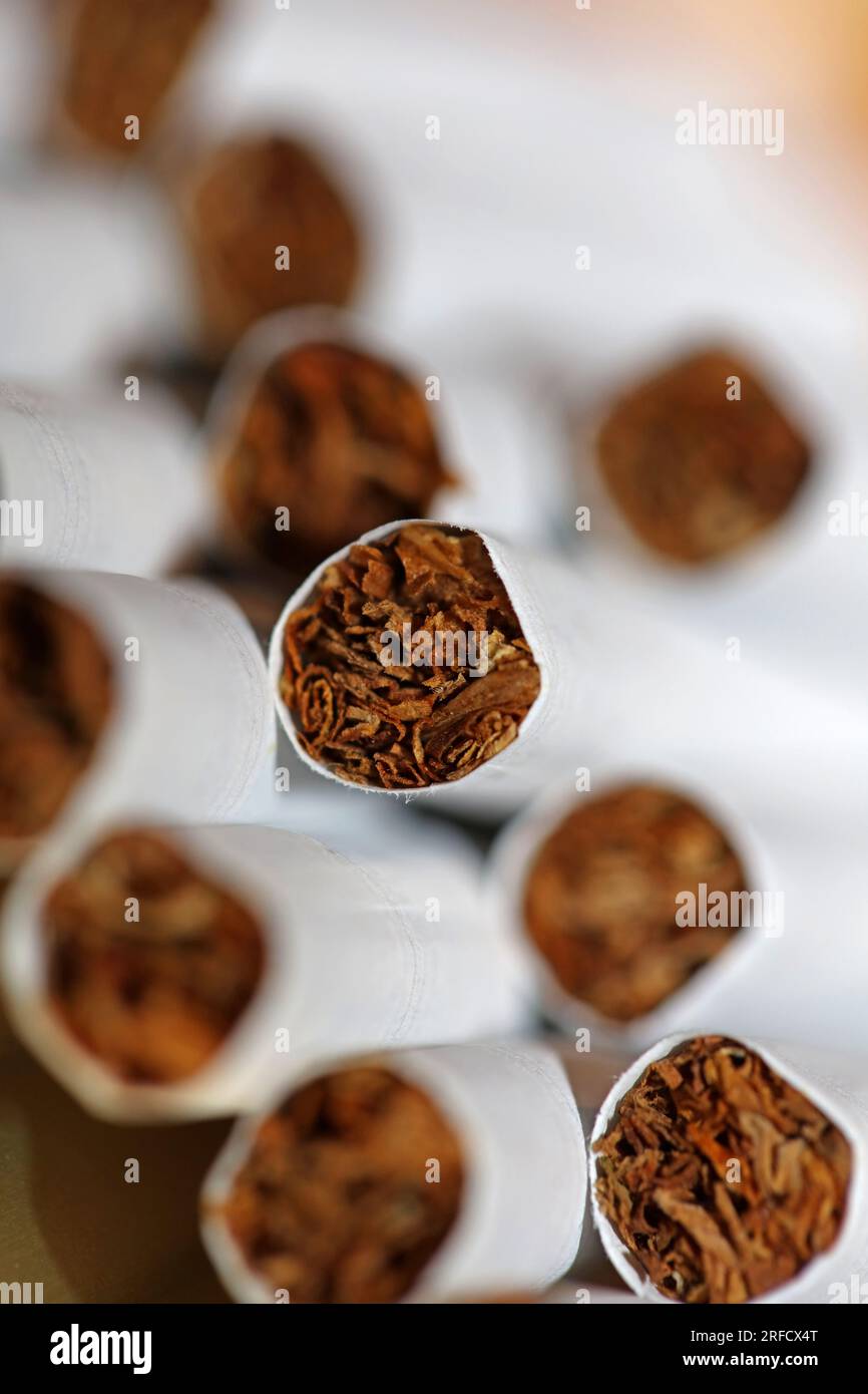 Many cigarettes in colorful background close up of a roll tobacco in paper with filter tube no smoking concept image of several commercially made ciga Stock Photo