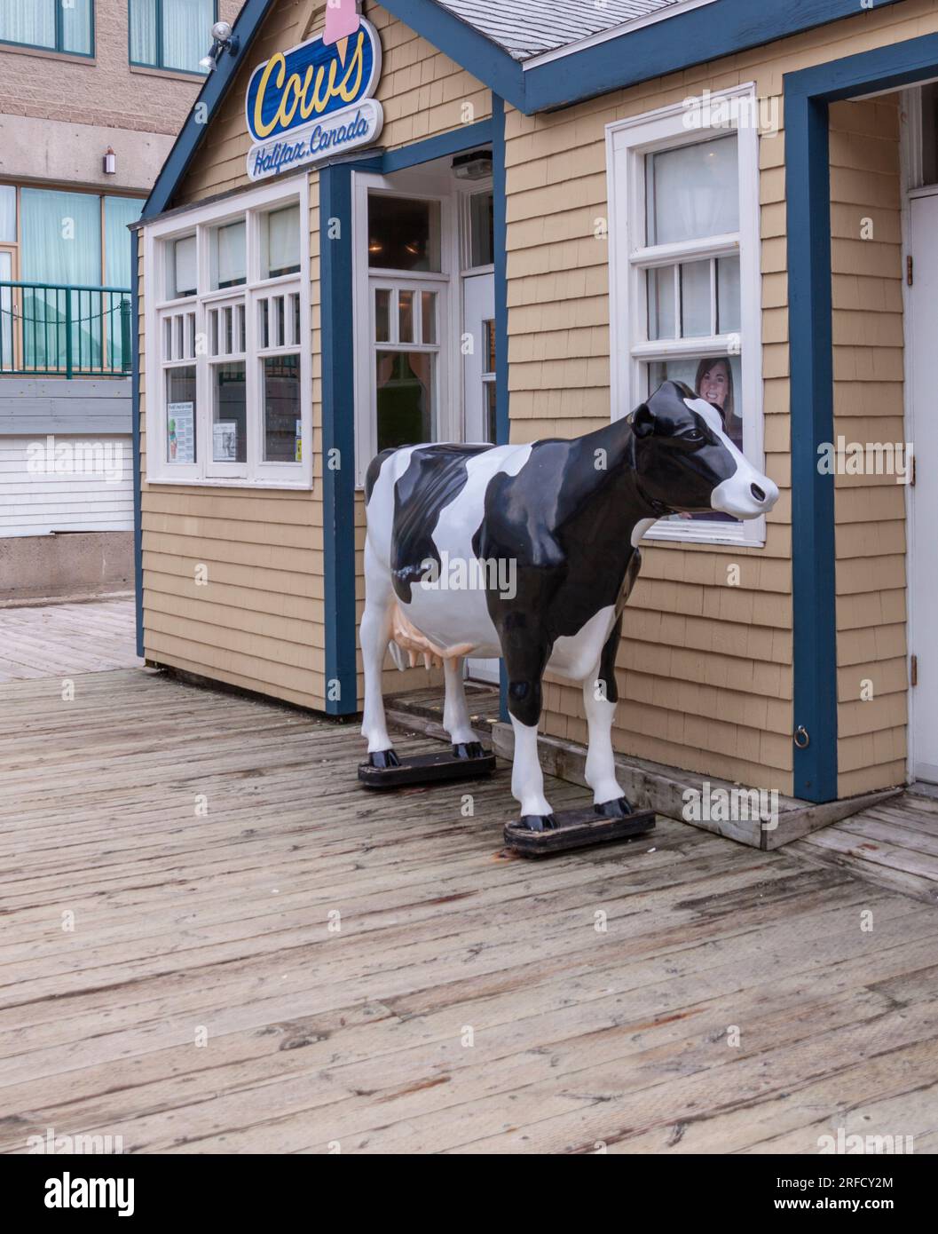 Cows Ice Cream parlour in Halifax, Canada, makers of a popular ice