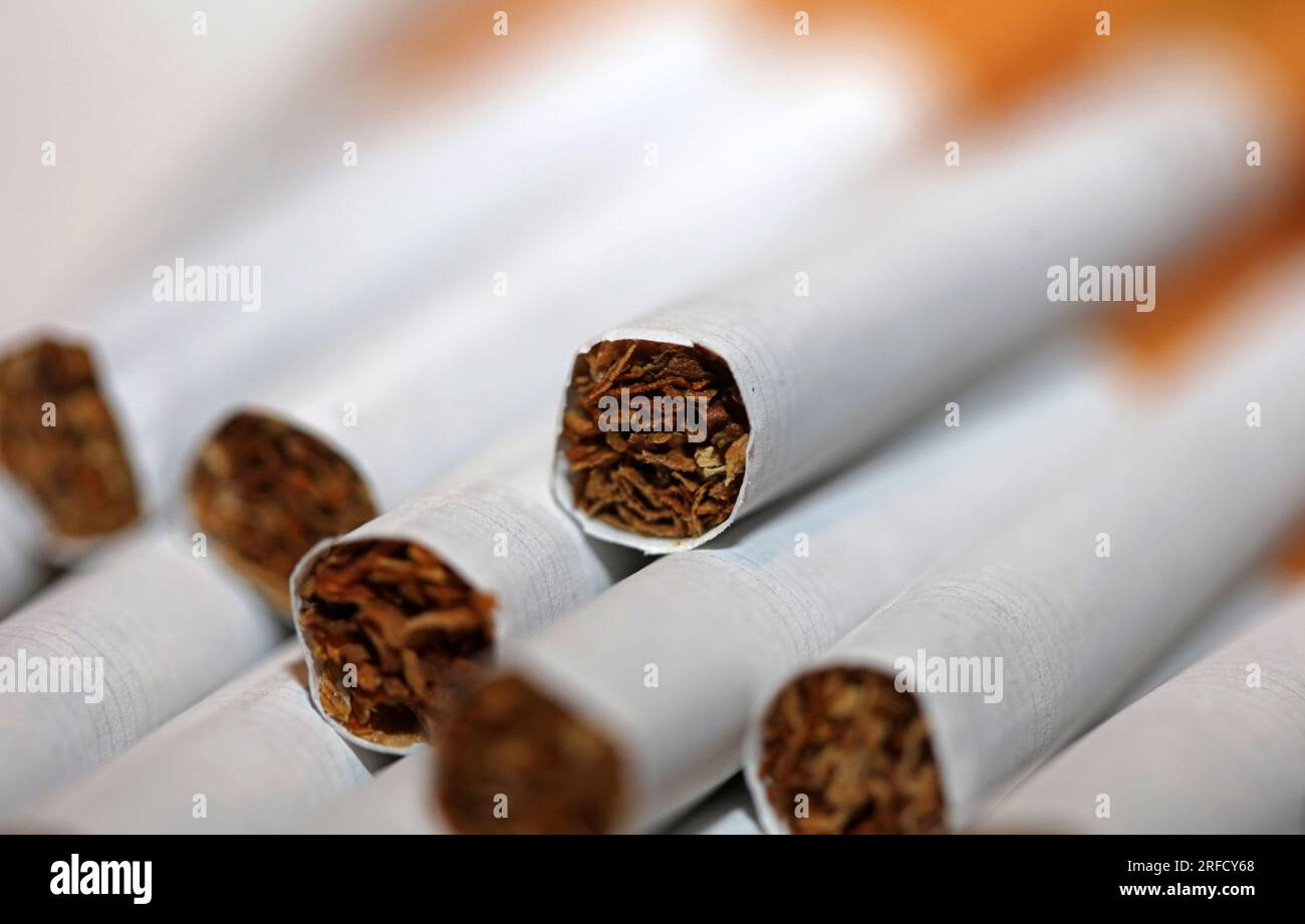 Many cigarettes in colorful background close up of a roll tobacco in paper with filter tube no smoking concept image of several commercially made ciga Stock Photo