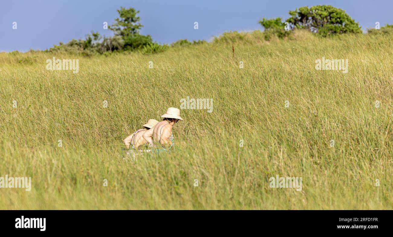 two women in bathing suits and hats walking through high grass at gin beach Stock Photo
