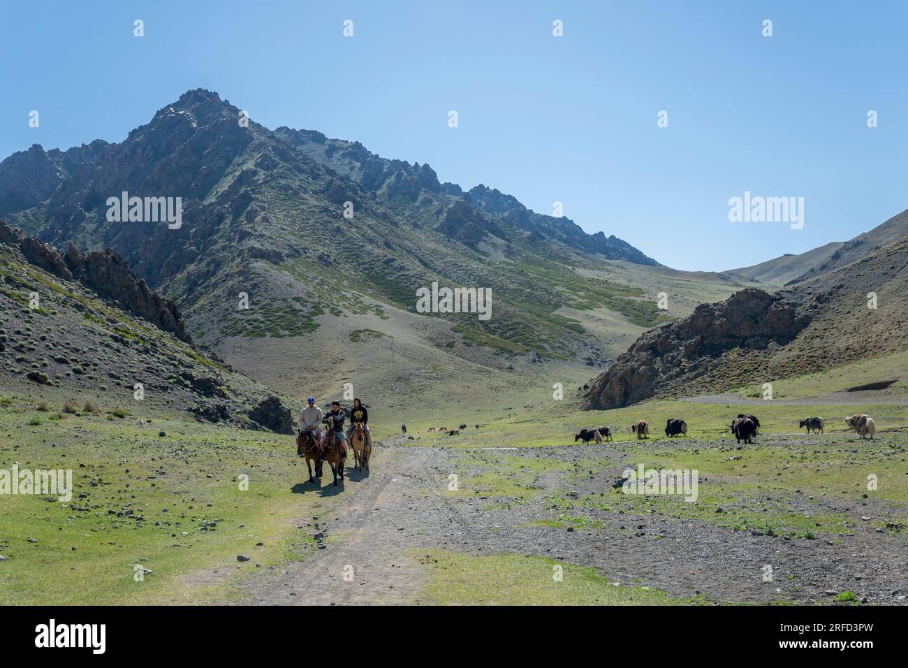 Horseback riders and yaks in the Yolyn Am (Gurvan Saikhan National Park), a deep and narrow gorge in the Gurvan Saikhan Mountains near Dalanzadgad in Stock Photo