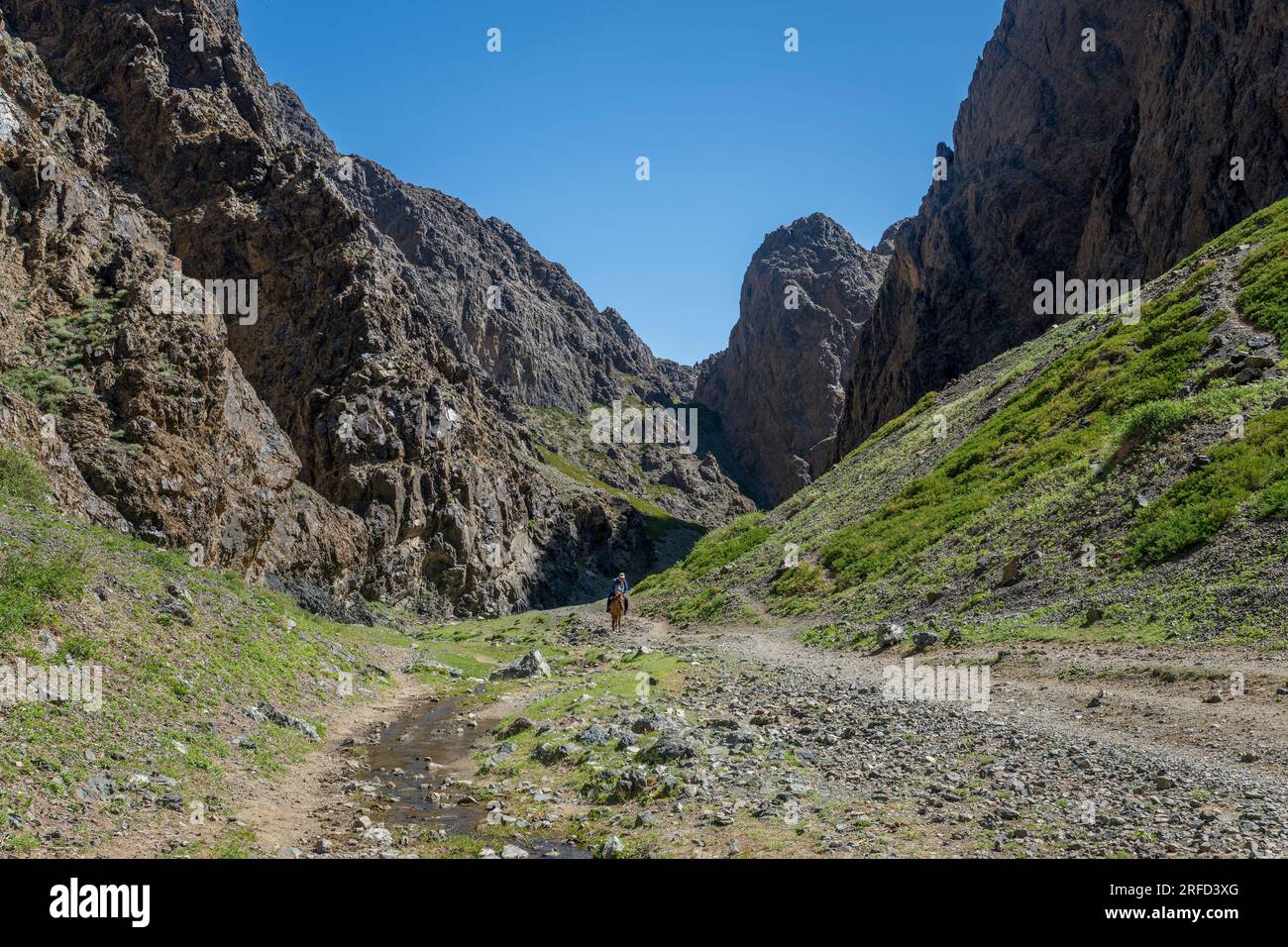 A horseback rider in the Yolyn Am (Gurvan Saikhan National Park), a deep and narrow gorge in the Gurvan Saikhan Mountains near Dalanzadgad in the Gobi Stock Photo