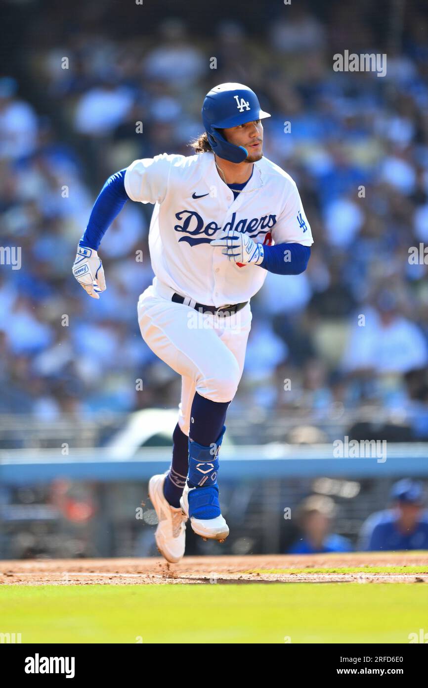 LOS ANGELES, CA - JUNE 04: Los Angeles Dodgers center fielder James