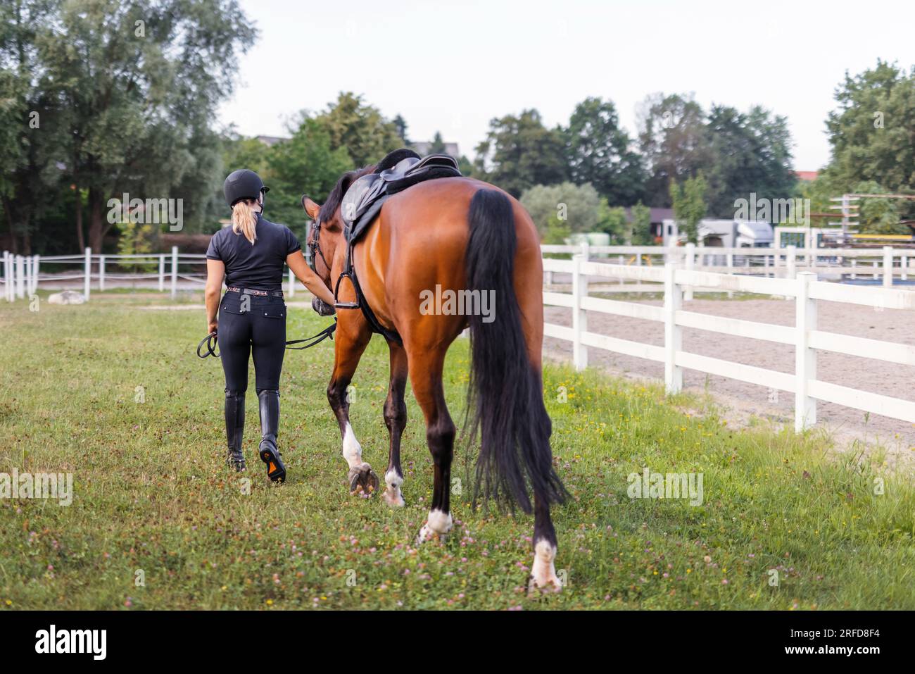 Female rider in equestrian clothes holding the reins and leading her