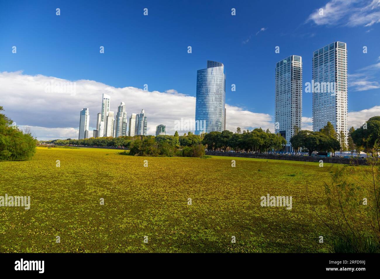 Scenic Buenos Aires, Argentina Skyline. Distant Puerto Madero City Center Highrise Buildings View from Costanera Sur Ecological Reserve Urban Park Stock Photo