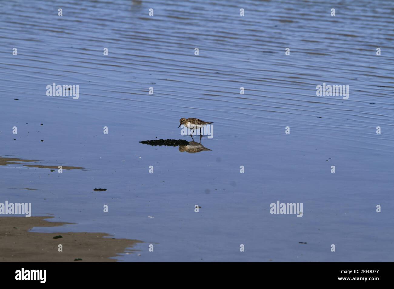 Lago Popo, Bolivia Stock Photo Alamy