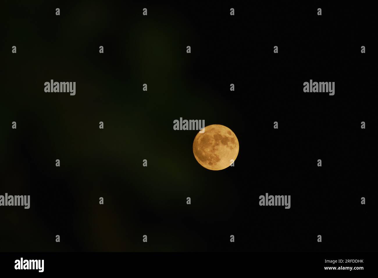 August 1, 2023, Srinagar, Jammu and Kashmir, India Pictures from