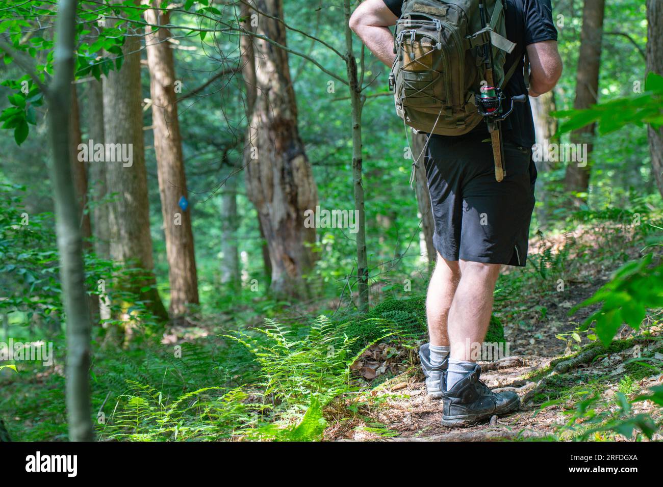 Hiker on a woodland trail, trail signs, natural background copy space image, active lifestyle Stock Photo