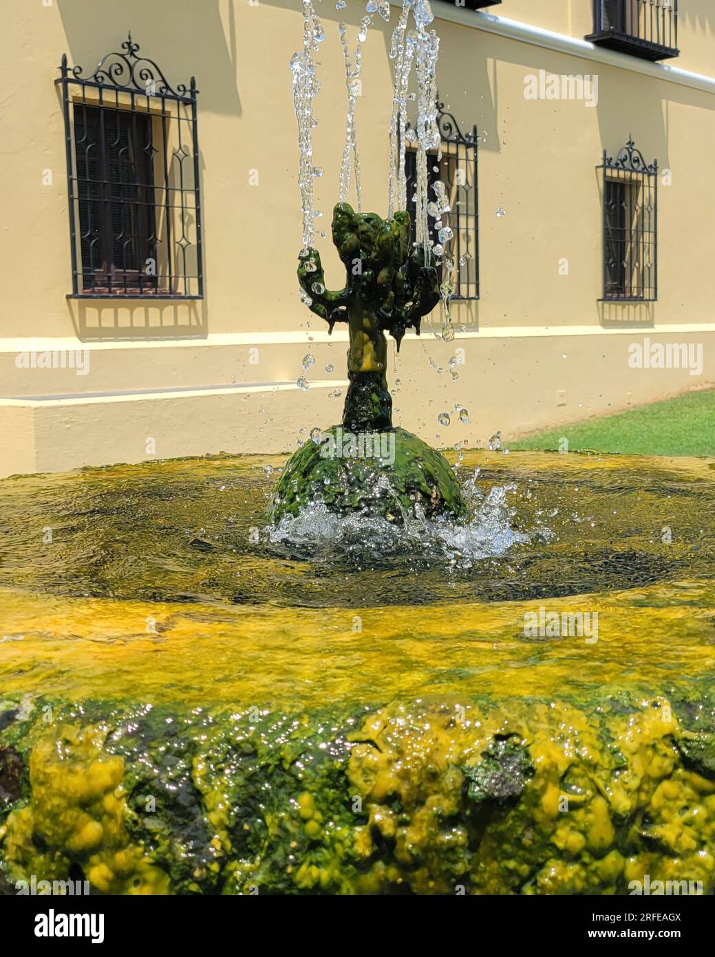 A fountain flowing with mineral water from the hot springs. Located in
