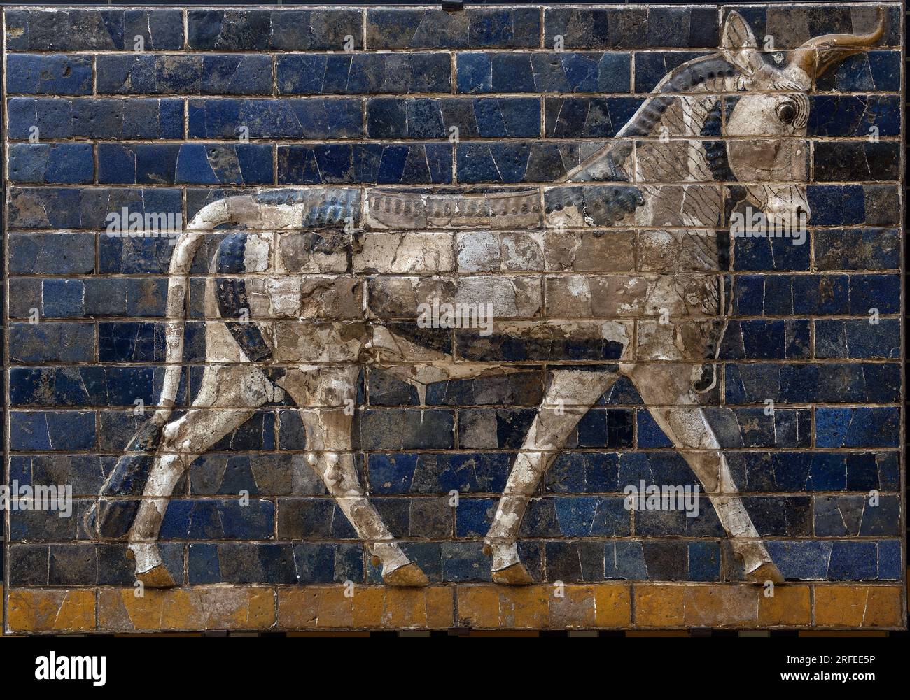 Taureau sacre - reliefs en briques emaillees provenant de la porte d'Ishtar - Babylone - 604-562 av.JC. - periode de Nabuchodonosor Musee Archeologique Istanbul - A bull, detail from glazed brick tiles depicting mythological animals that adorned the Processional Way to the Ishtar Gate in Babylon during the reign of Nebuchadnezzar II (604-562 BC). Babylonian civilization, 7th -6th century BC. Stock Photo