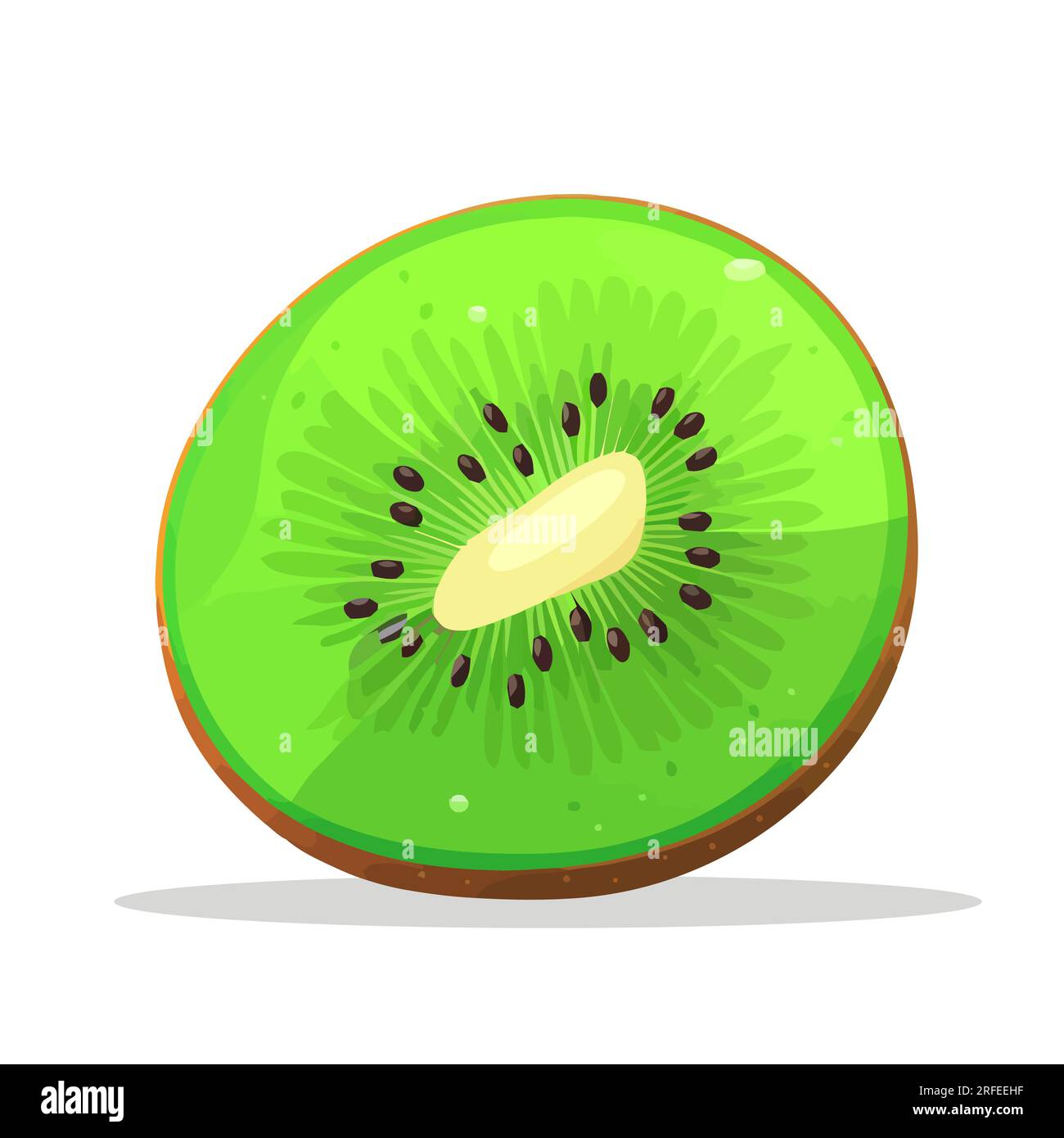 Kiwi fruit. Image of fresh kiwi fruit. Sliced kiwi in flat design. Vector  illustration Stock Vector Image \u0026 Art - Alamy, image size:1300x1390