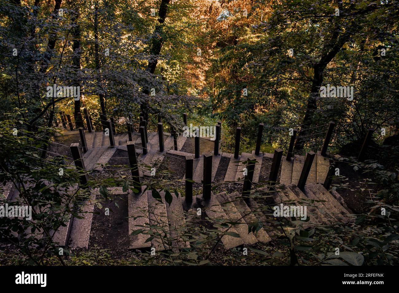 Stairway in the Woods - Autumn Colors on the Hills of Bled, Slovenia Stock Photo