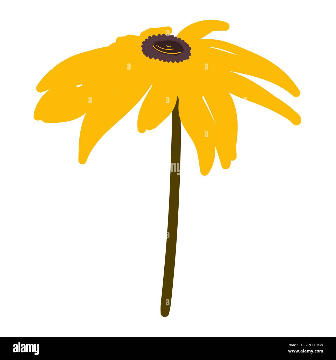 Vector daisy flower on a white background Stock Vector Image & Art - Alamy