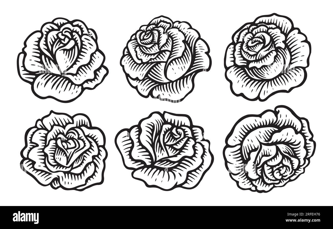 Flower bud with petals, blossoming rose in hand drawn style. Floral concept set. Sketch vintage vector illustration Stock Vector