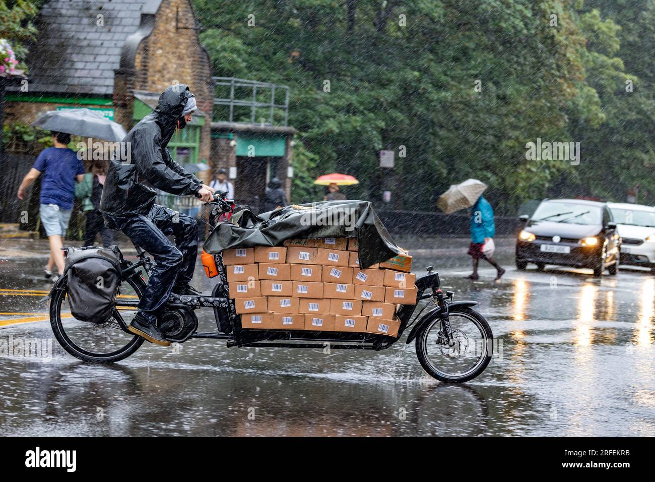 Pic shows Wet August No need to water these flowers on delivery by
