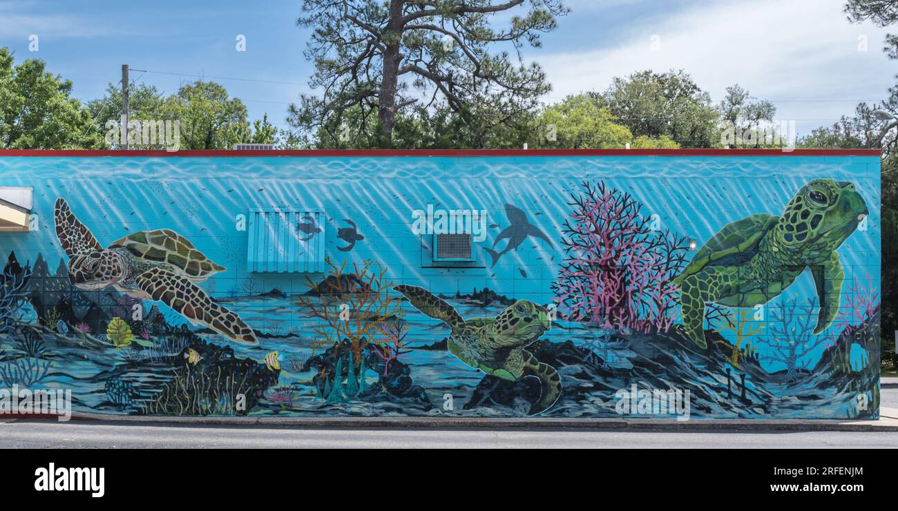 Sea Turtle mural, at Five Points Package Store, pm Amelia Island, Florida. Stock Photo