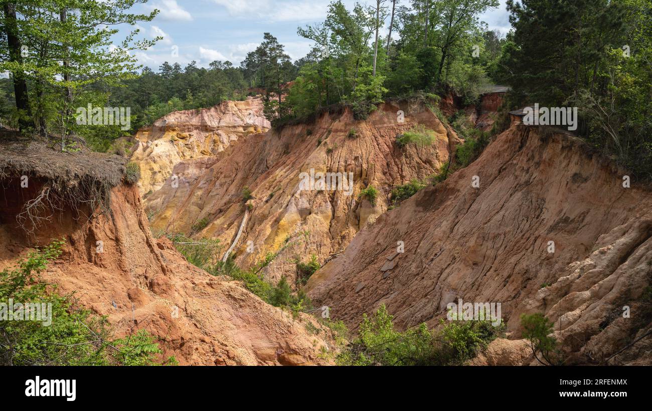 Red Bluff (a.k.a. Mississippi’s Little Grand Canyon), in Red Bluff, Mississippi. Stock Photo