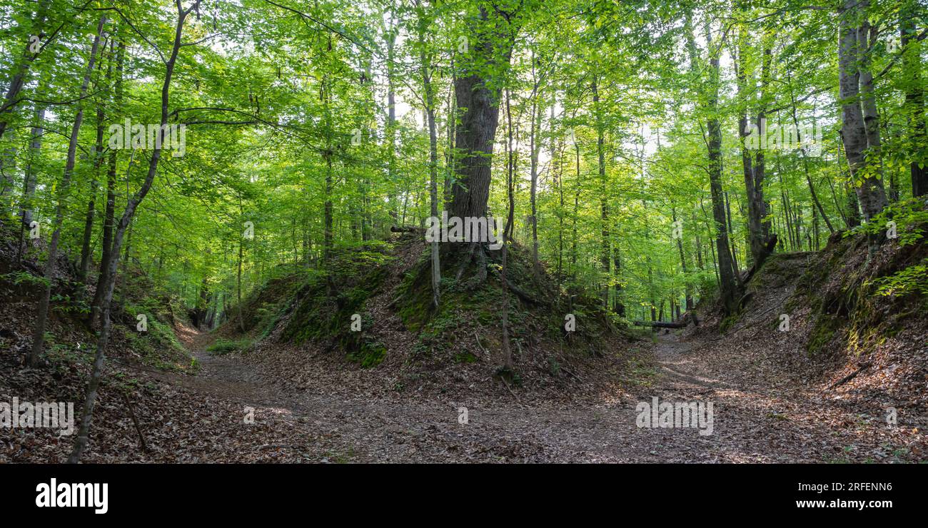 Sunken Trace, on the Natchez Trace Parkway, Port Gibson, MIssissippi