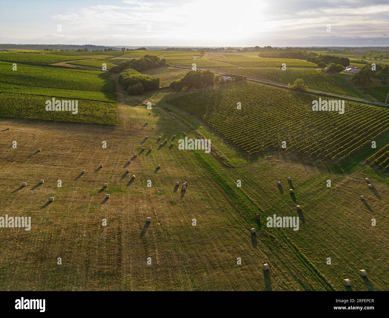 Forage Fields Aerial view Bordeaux Vineyard and forage fields with bales of hay in ...