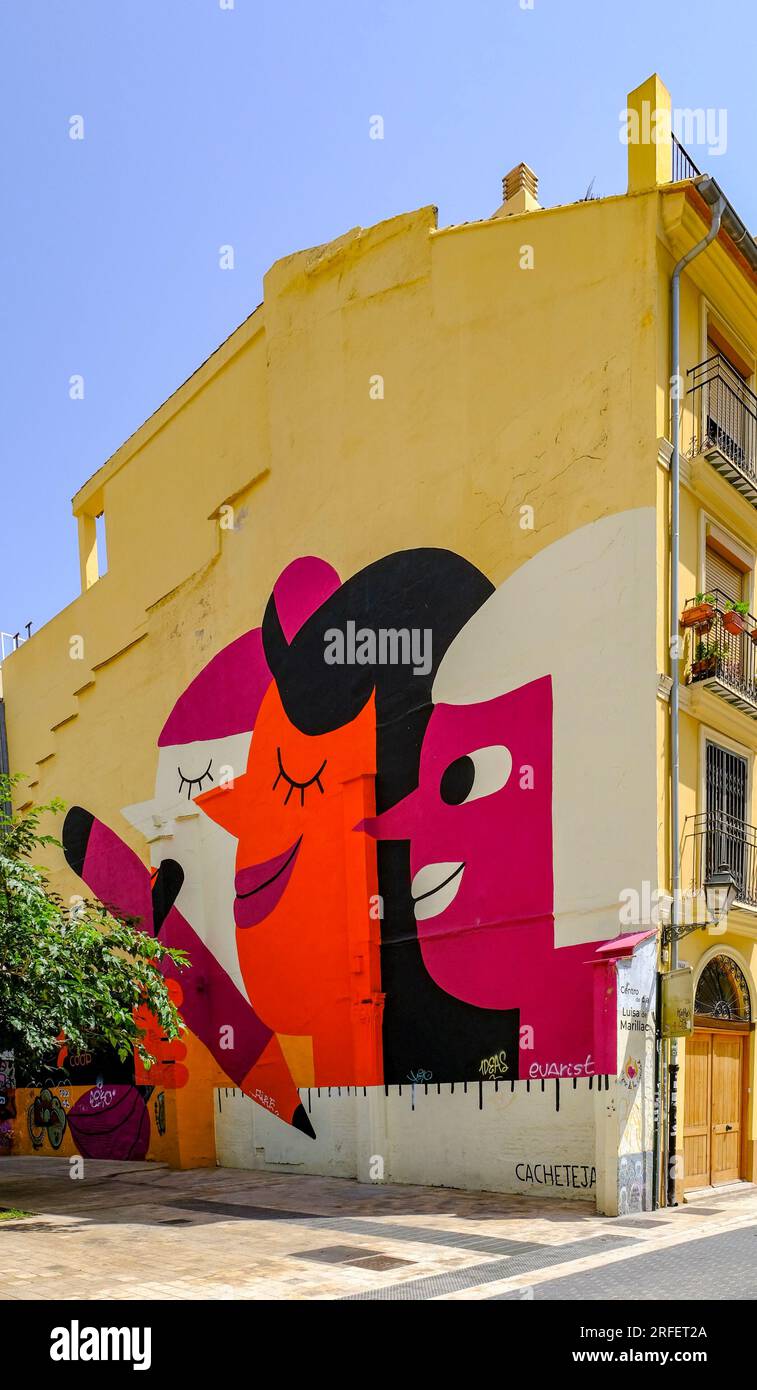 Spain, Valencia, barrio del Carmen, street art Stock Photo