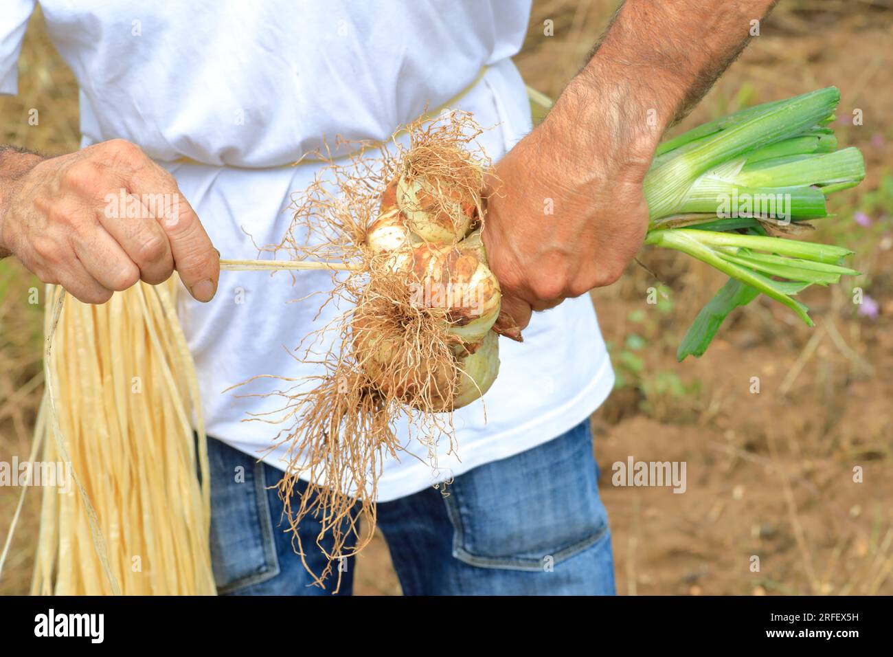 South garcia hi-res stock photography and images - Page 2 - Alamy