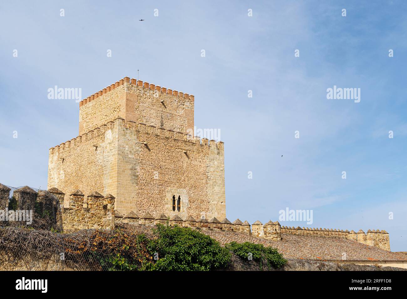 Spain, Castile and Leon, Ciudad Rodrigo, Enrique II de Trastamara castle Stock Photo