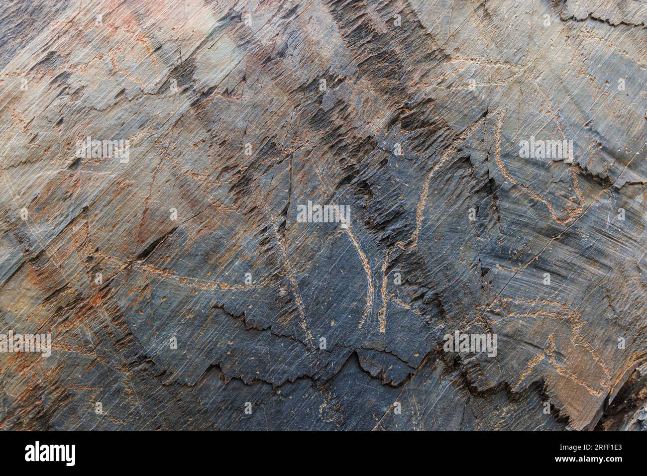 Spain, Castile and Leon, Villar de la Yegua, Prehistoric Rock Art Sites in the Coa Valley and Siega Verde listed as World Heritage by UNESCO, horse engraving Stock Photo