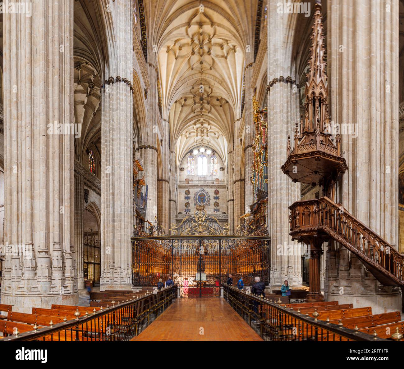 Spain, Castile and Leon, Salamanca, Old city of Salamanca listed as World Heritage by UNESCO, the New Cathedral, the nave Stock Photo