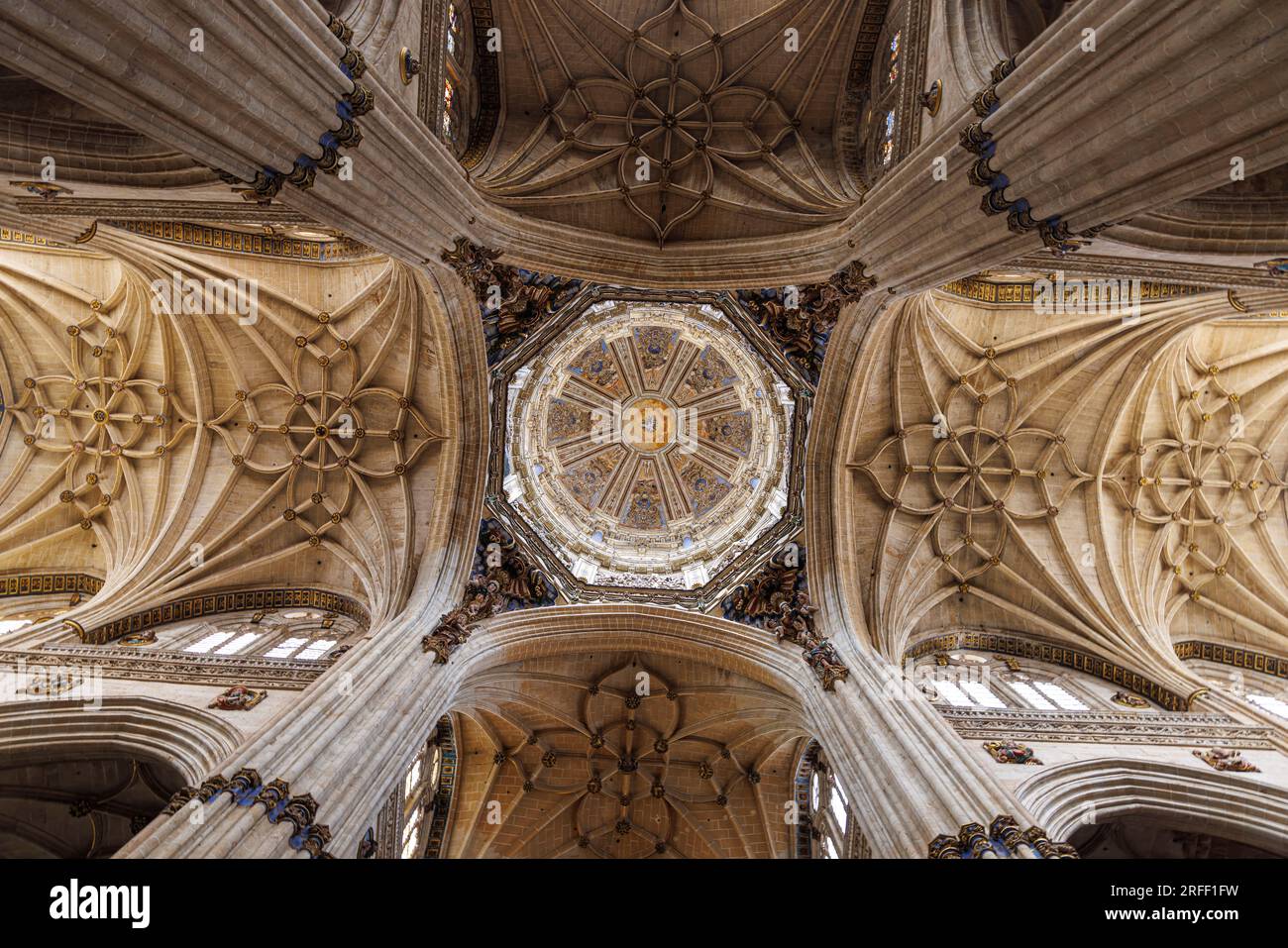 Spain, Castile and Leon, Salamanca, Old city of Salamanca listed as World Heritage by UNESCO, the New Cathedral, the ceiling Stock Photo