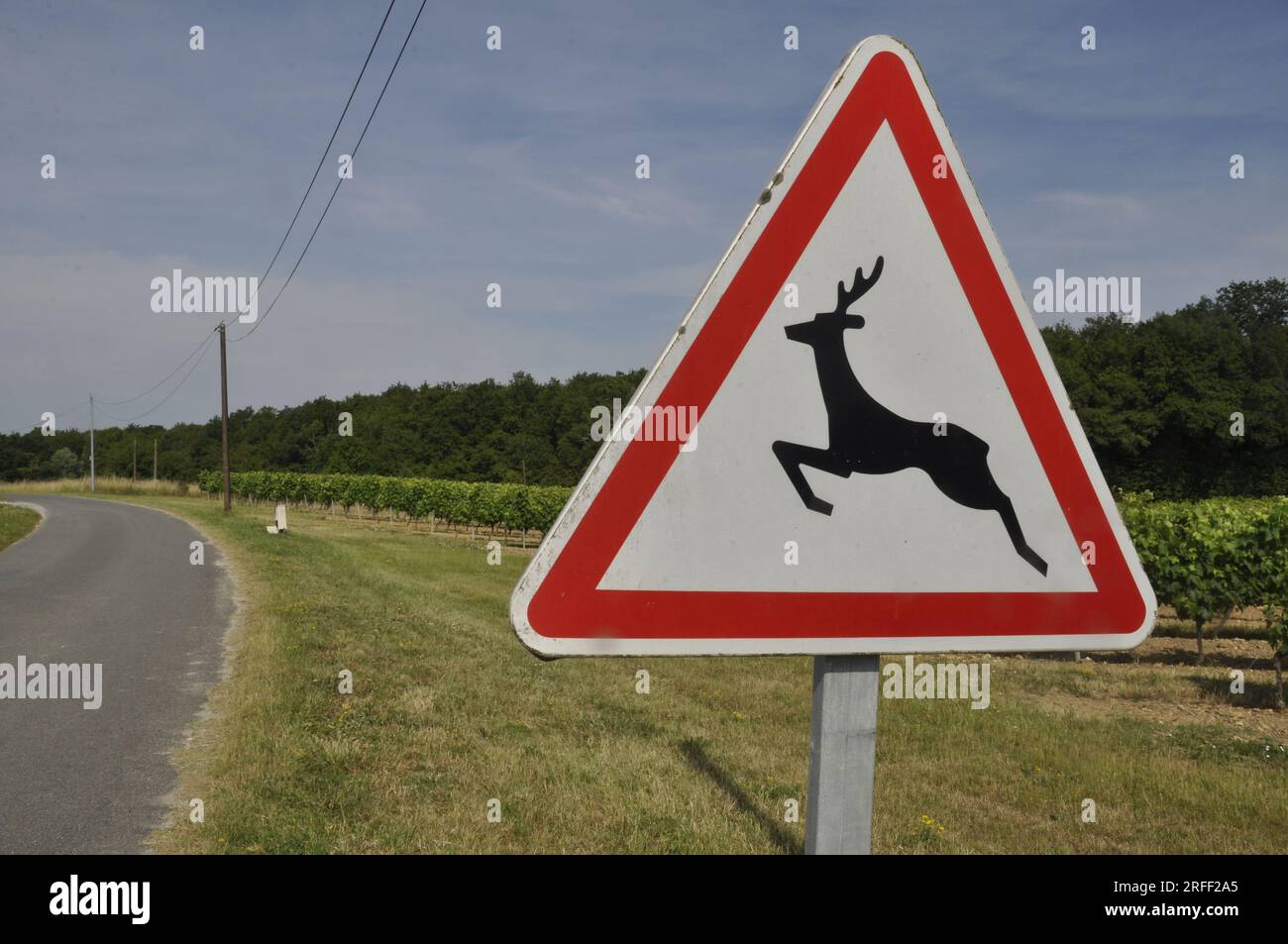 Rff Sign road sign indicating the passage of wild animals in France Stock Photo ...