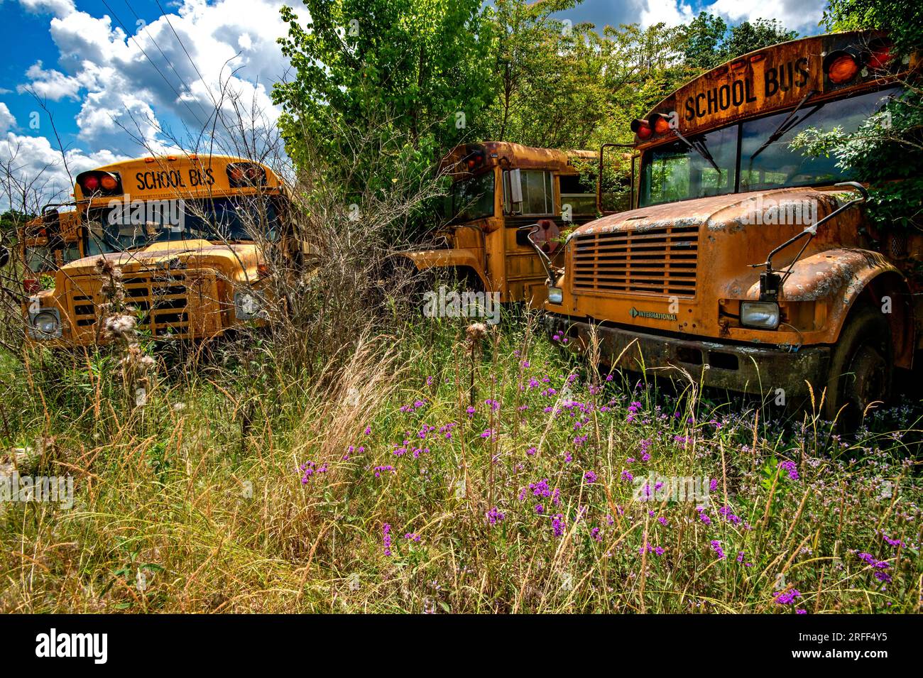 United States, Mississippi, Roxie, school bus junkyard Stock Photo Alamy
