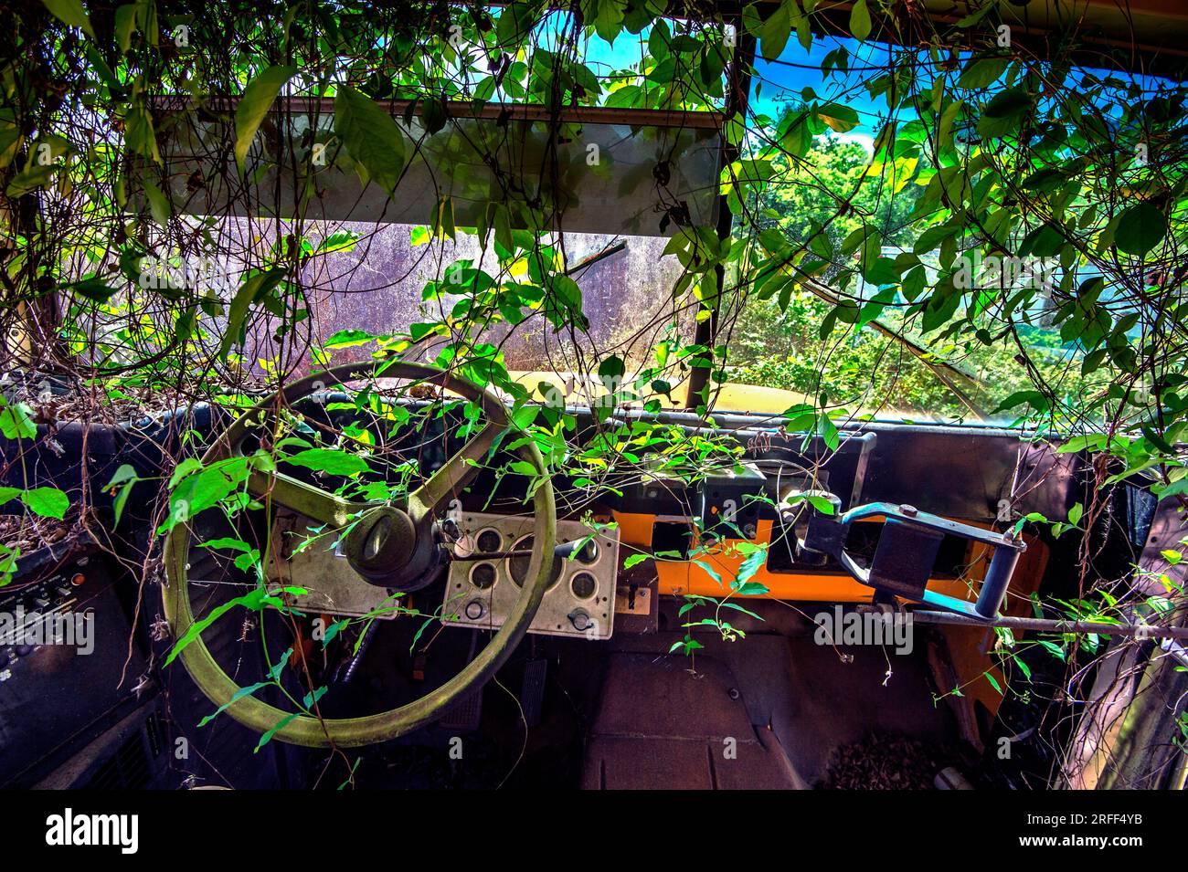 United States, Mississippi, Roxie, school bus junkyard Stock Photo Alamy