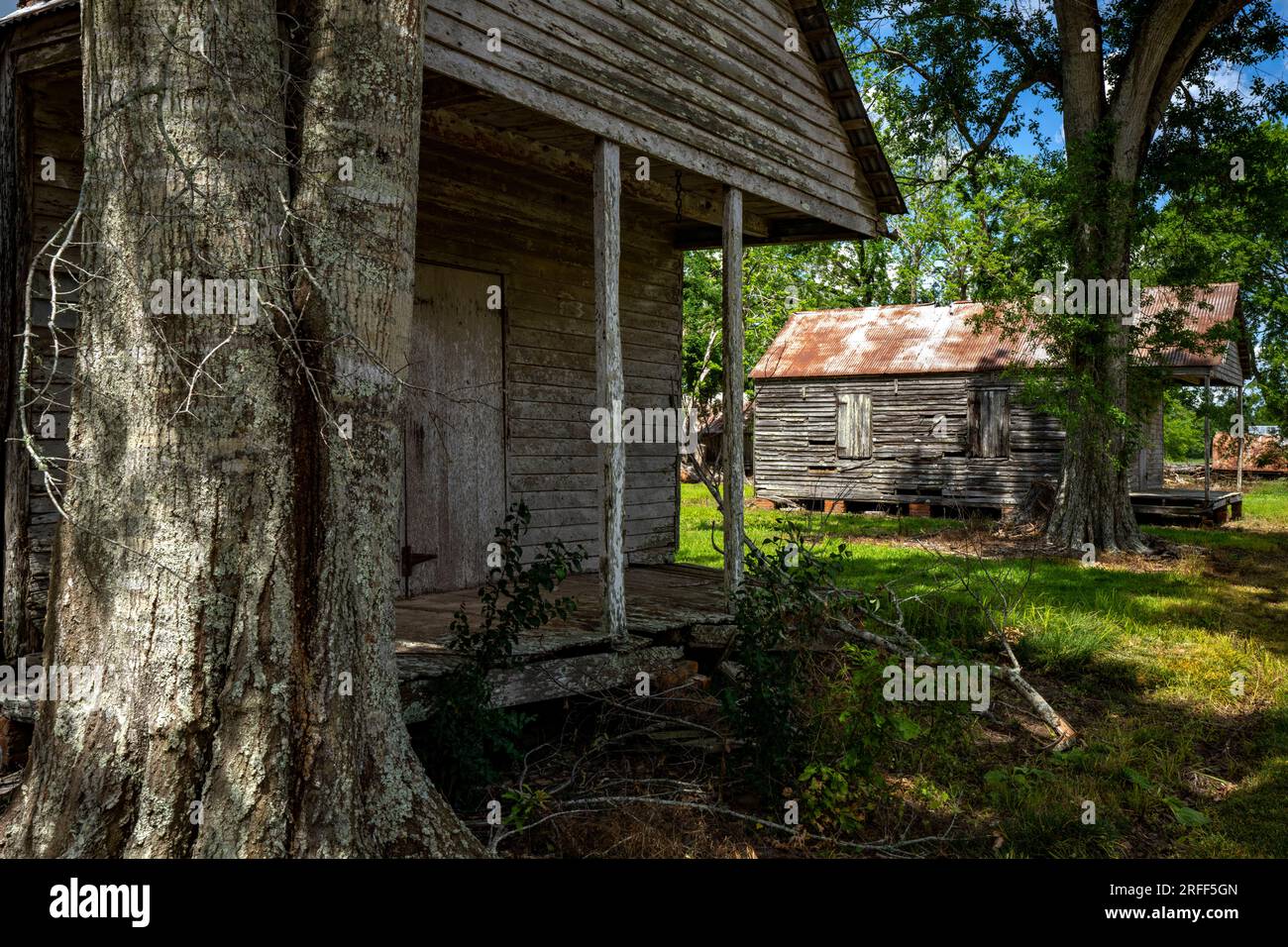 United States, Louisiana, Thibodaux, Laurel Valley Plantation Stock