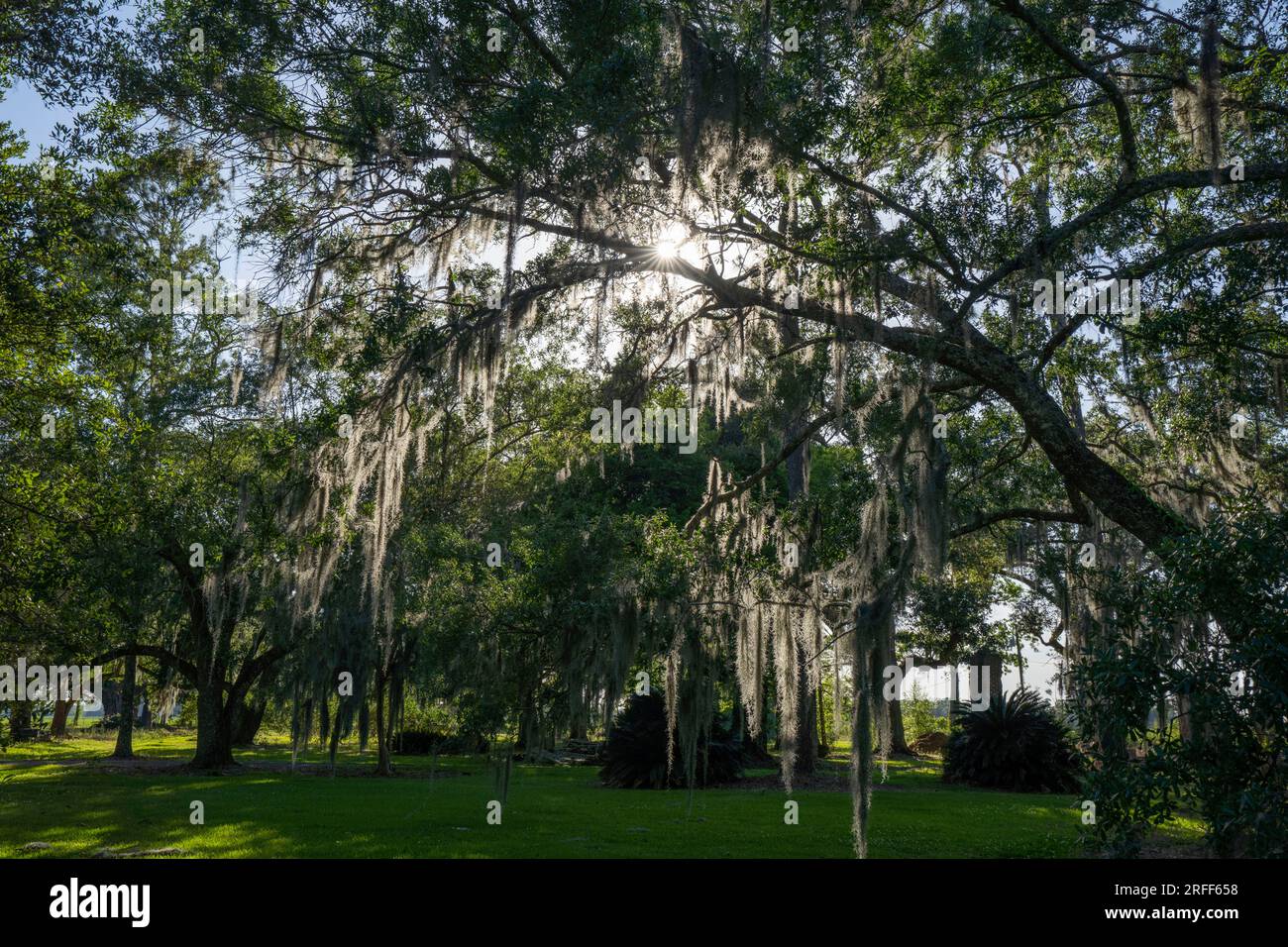 United States, Louisiana, Schriever, the Ardoyne Plantation built in a Gothic style in 1894 was a sugar plantation Stock Photo