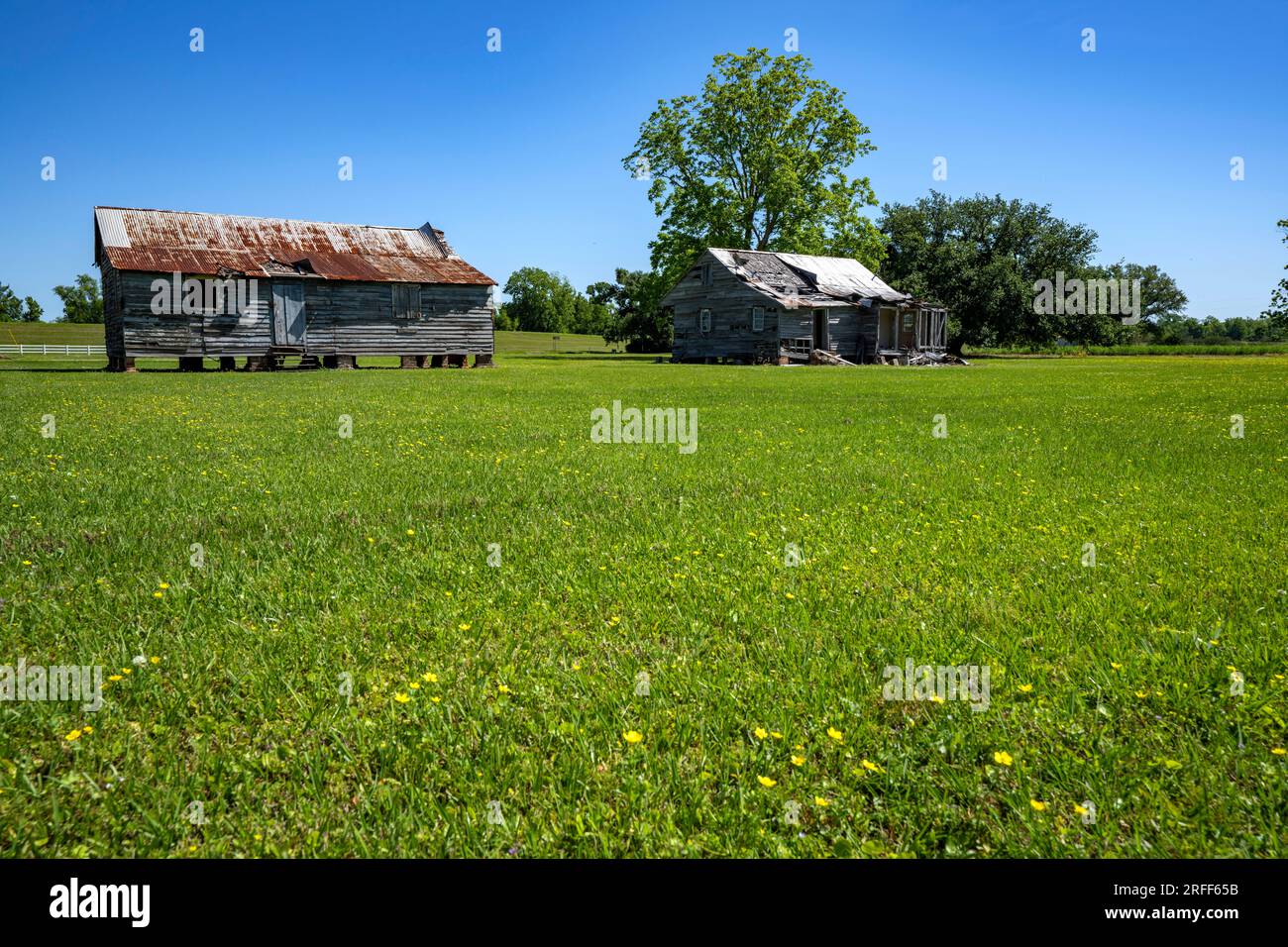 United States, Louisiana, Vacherie, antebellum house, Oak Alley