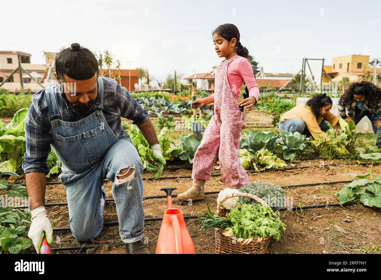 Indian family picking up organic vegetables from house garden outdoor ...