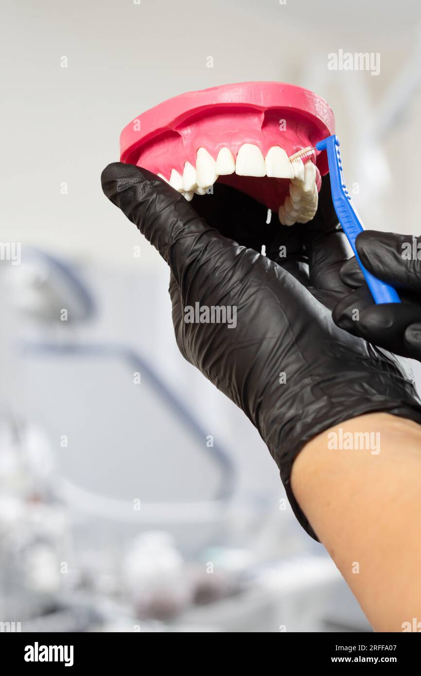 Dentist with an interdental toothpick brush and a layout of the human ...