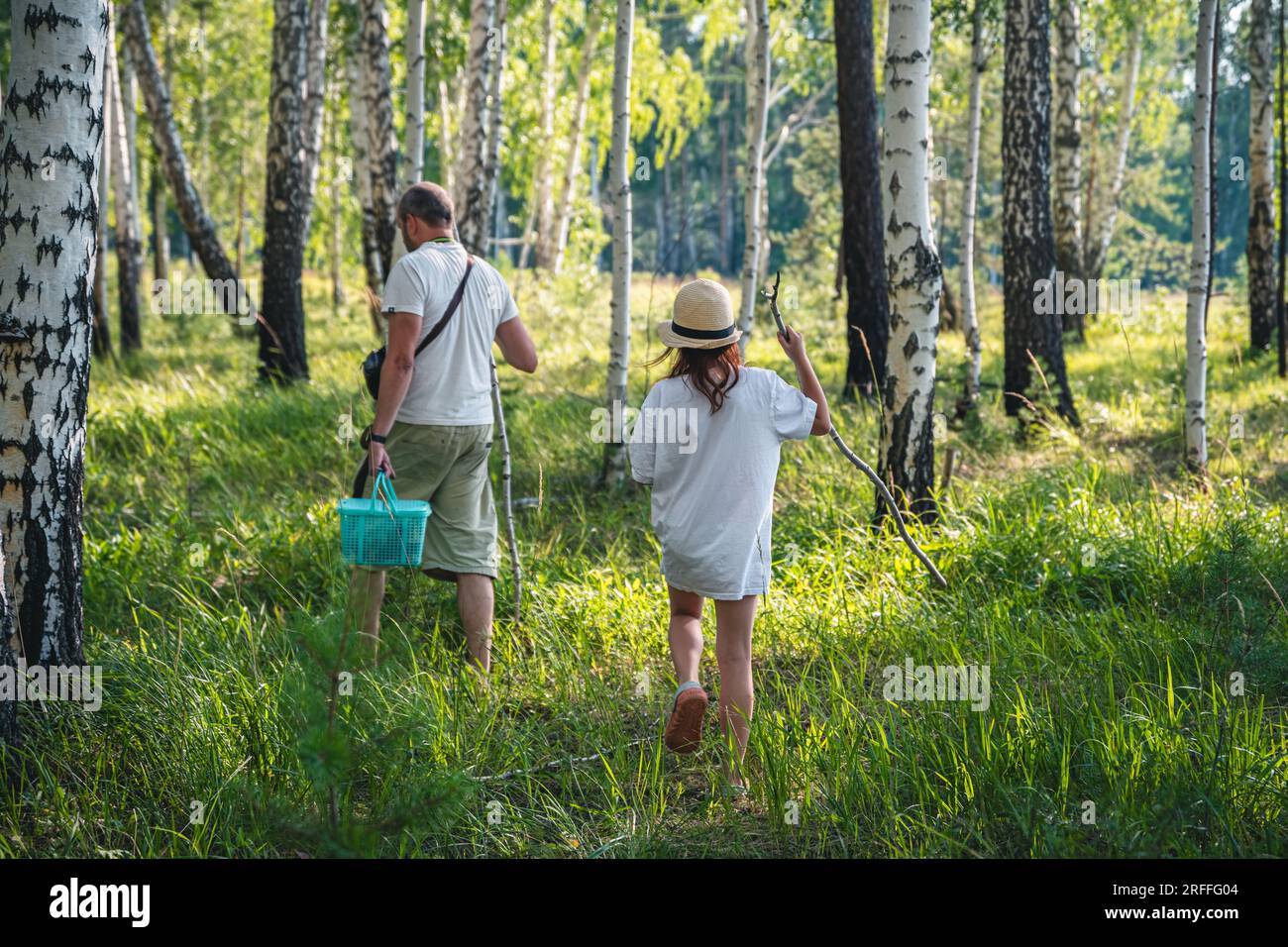 Mushroom pickers Dad with his daughter with sticks in the forest looking for mushrooms Stock Photo