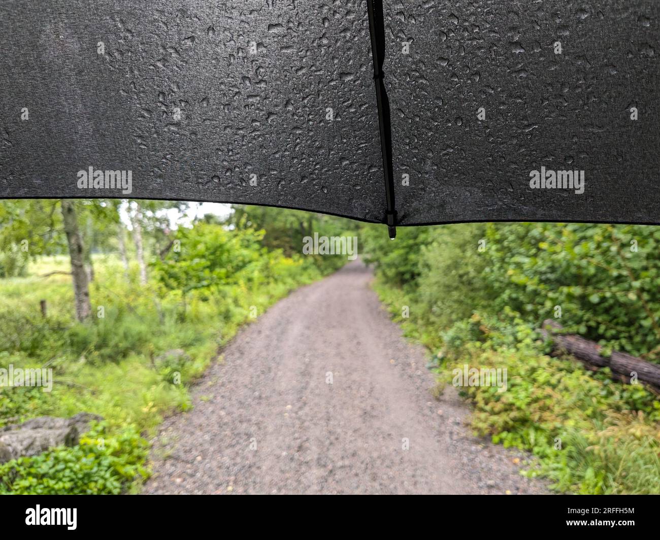 Rainy day walkway path hi-res stock photography and images - Alamy